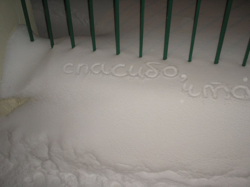 Роман Павленко | Камышин