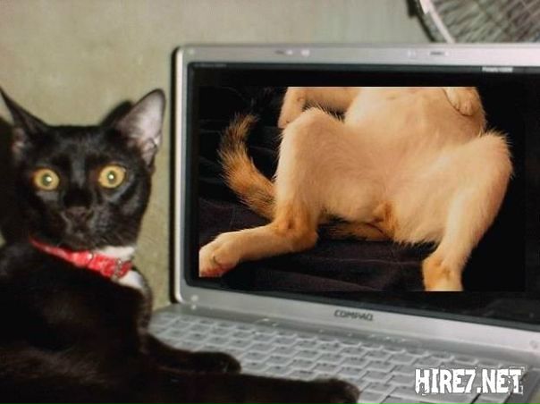 №138, Лёхахахаха Дубовой, Харьков №138, Лёхахахаха Дубовой, Харьков