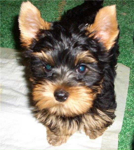 №23, Сергей Лопатюк, 50 лет, Санкт-Петербург №23, Сергей Лопатюк, 50 лет, Санкт-Петербург