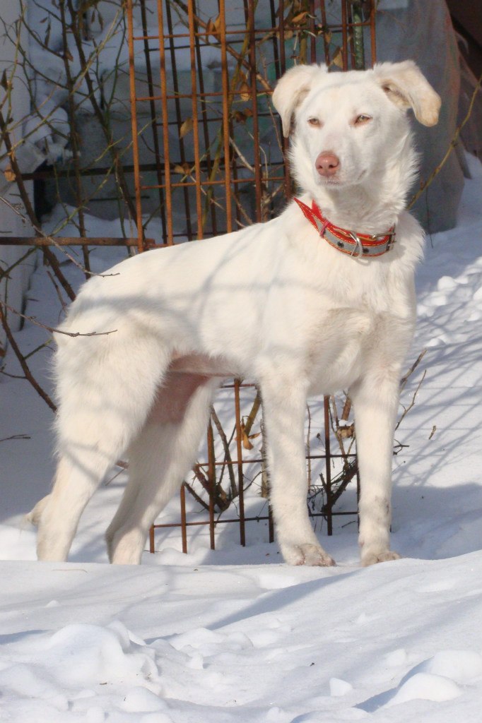 Olga Nesterova | Луганск