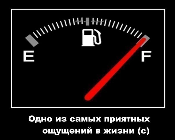 Светлана Тамошевич | Тюмень