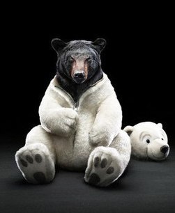 Аня Федюкина УМКА | Львов