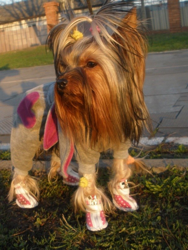 Натали Счастливая | 