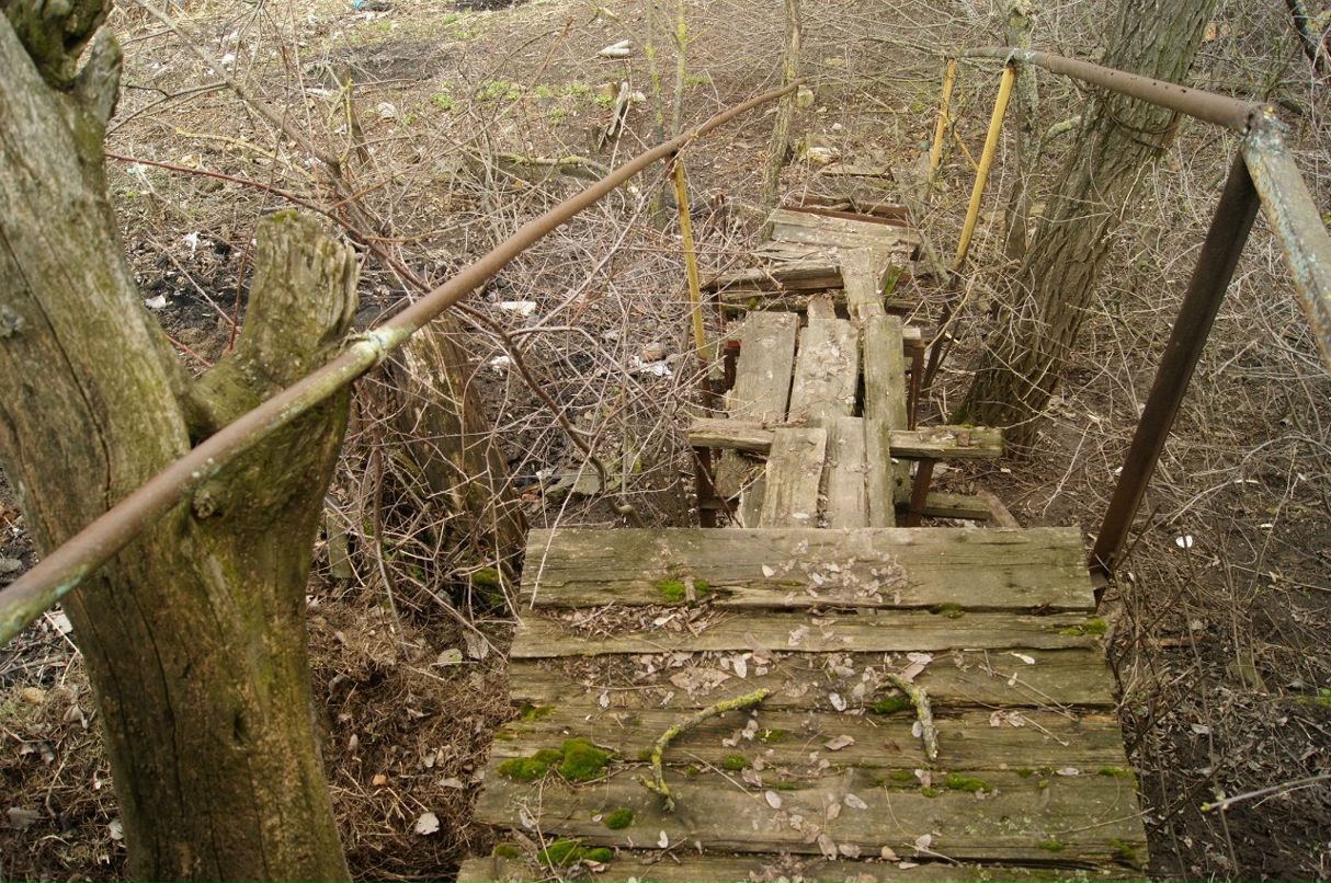 Вероника Овчарова | Санкт-Петербург