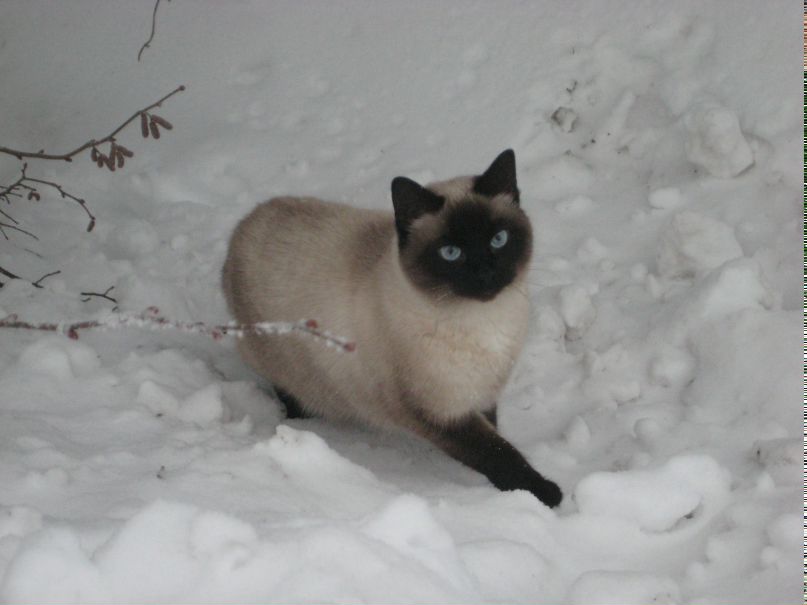 Людмила Семёнова | Санкт-Петербург