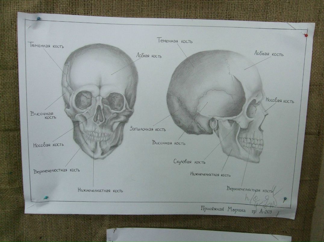 Марина Присяжная | Одесса