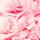 №164, Марина Тешева №164, Марина Тешева
