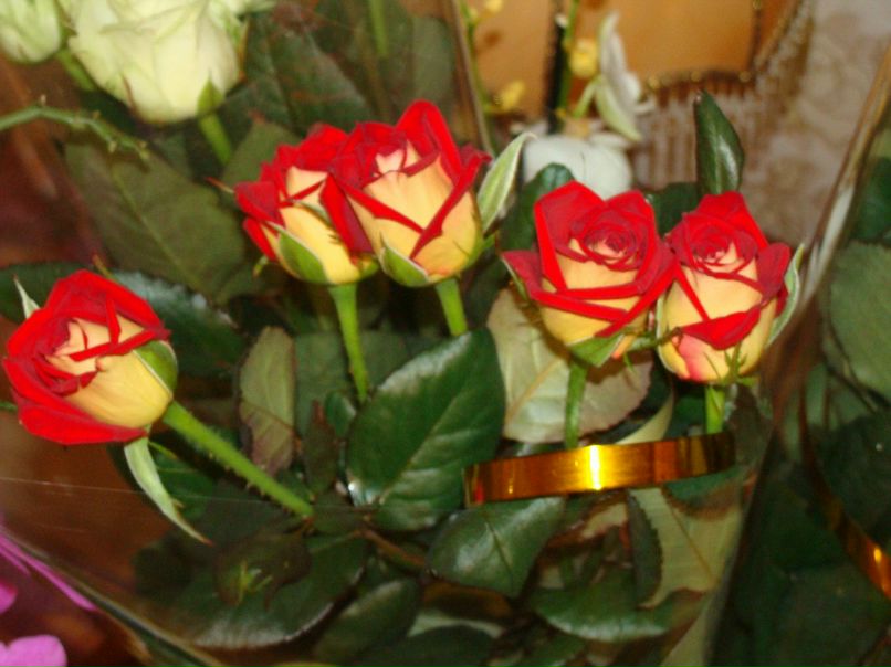 Анна Куранова | Симферополь