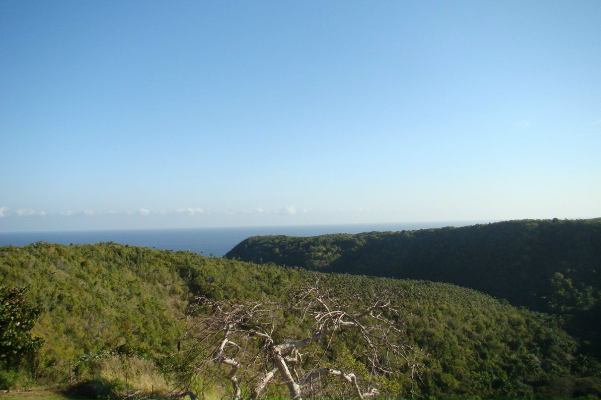 Анна Пашкова | Екатеринбург