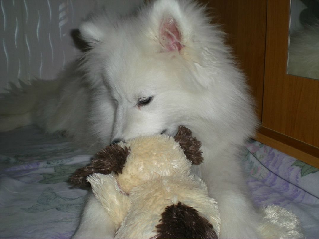 Олеся Пархоменко-Максимова | Pago Pago