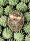 Наш день 19 февраля Наш день 19 февраля