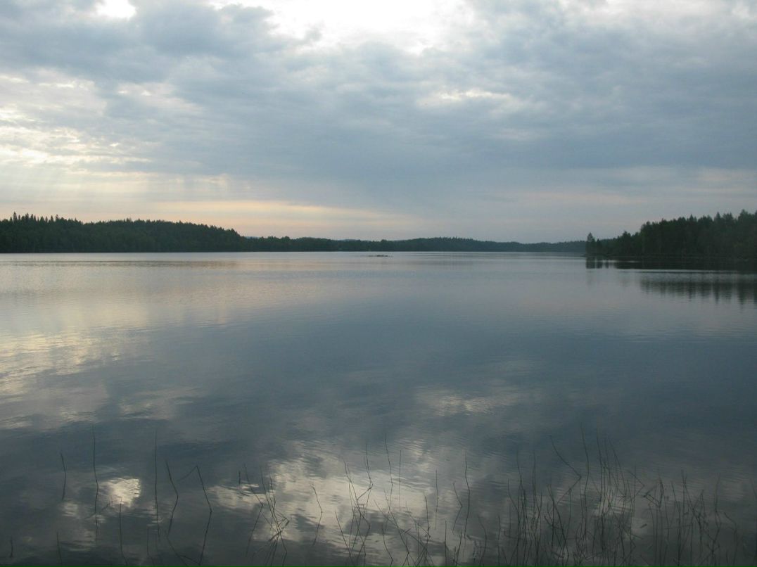 Петр Чебадухин | Москва