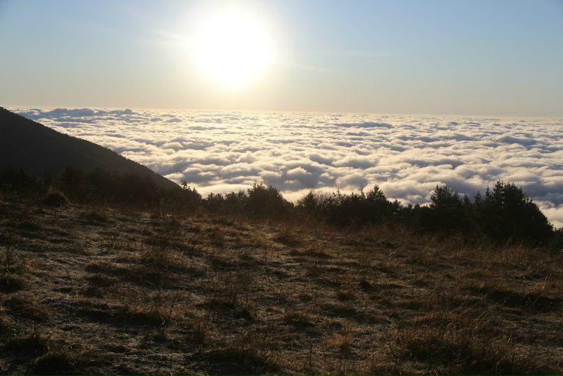 Светлана Царегородцева | 