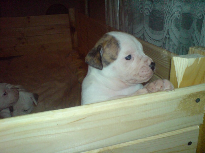 Жека Раджабов | Киев