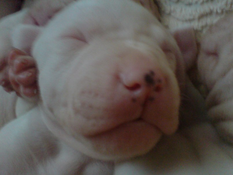 Жека Раджабов | Киев