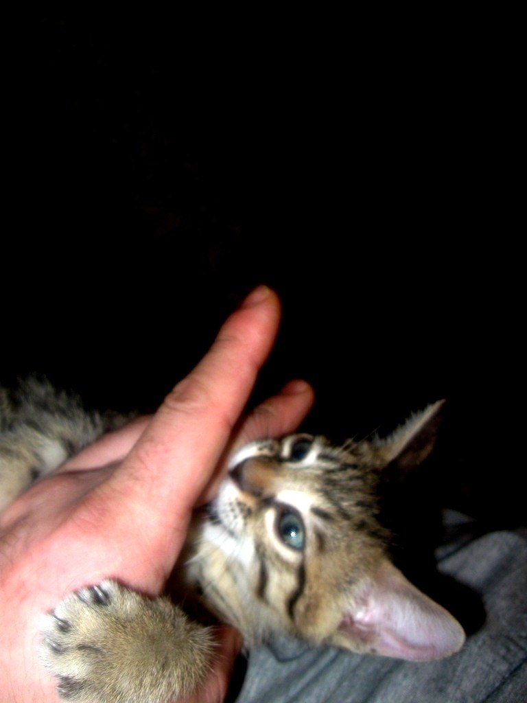 Руслан Алексеевич | Красноярск