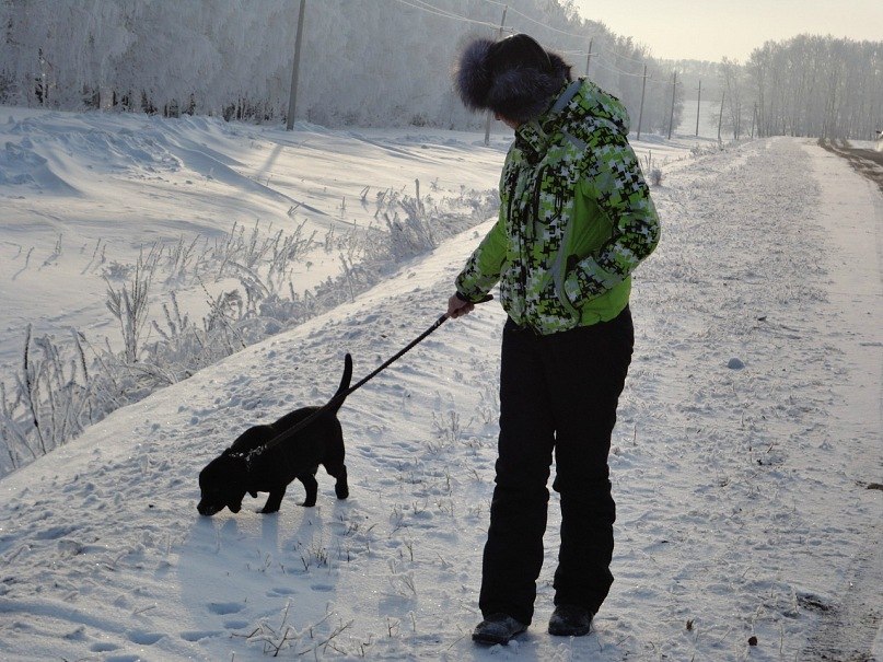 Bon Voyage Older | Уфа