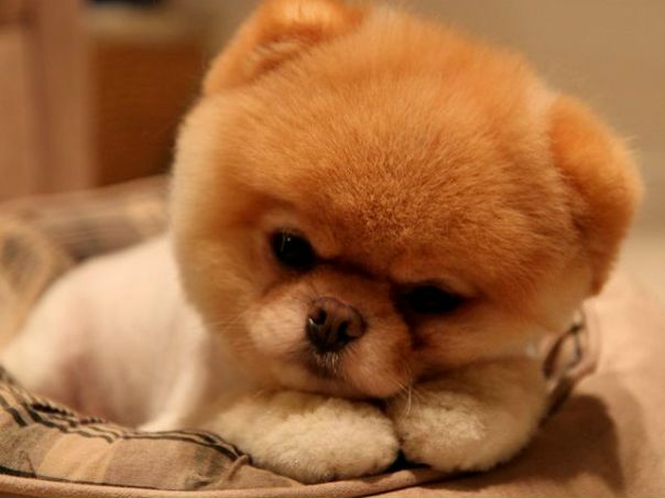 №24, Віта Колодніцька-Стрижак №24, Віта Колодніцька-Стрижак