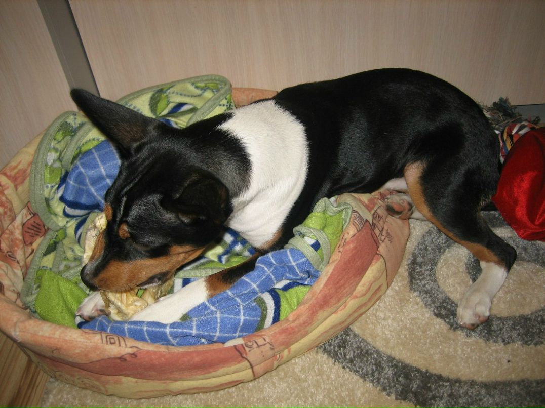 Ольга Яранцева | Санкт-Петербург