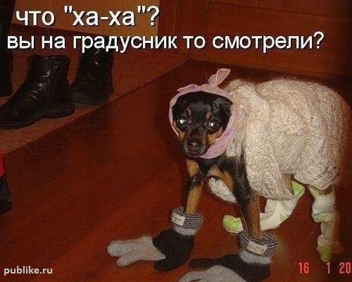 №129, Катерина Спирягина, Севастополь №129, Катерина Спирягина, Севастополь