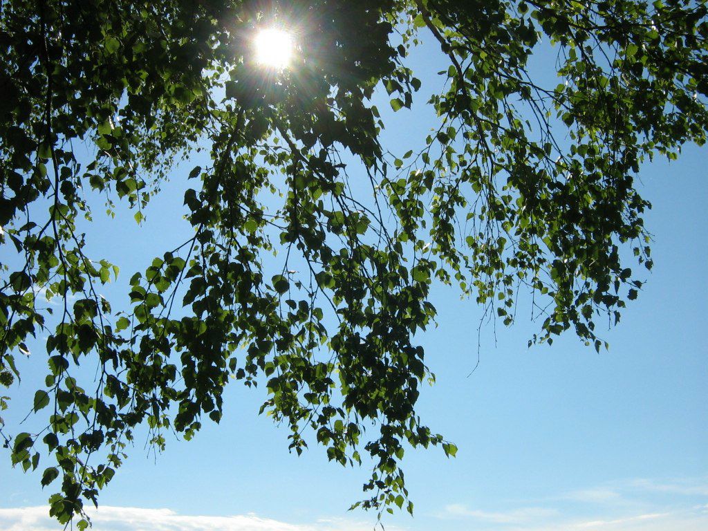 Лера Пан | Красноярск