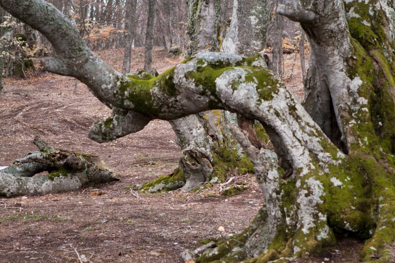 Евгений Шатохин | Черкассы