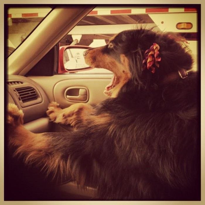 Екатерина Мусихина | Москва