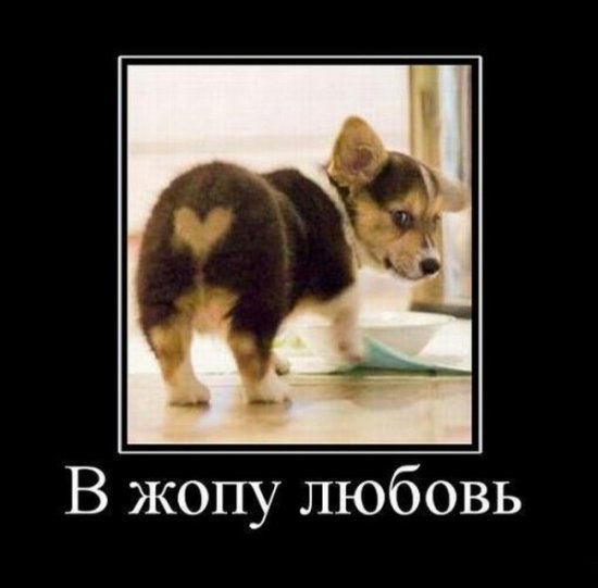 Вика Криштальова | Черкассы