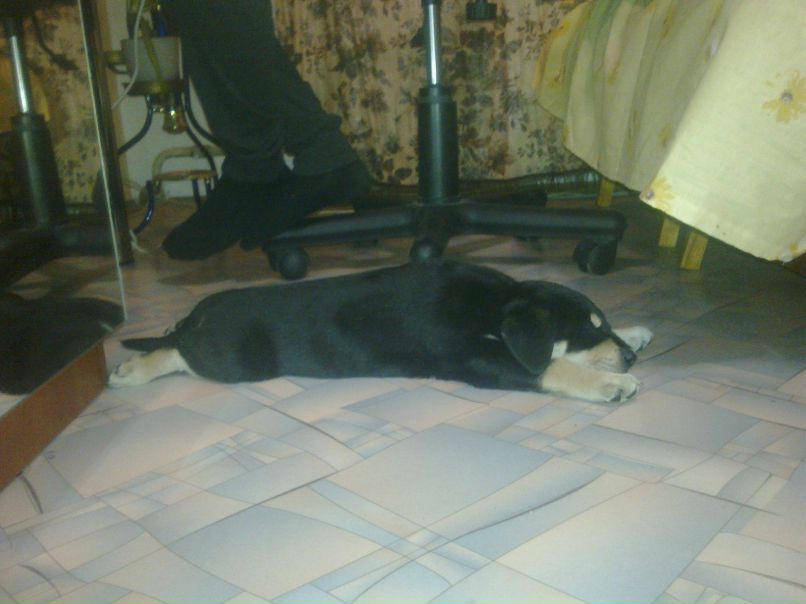 Алексей Плотников | Коммунар