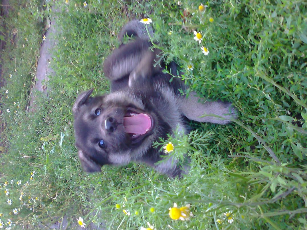 Василь Здрилюк | Львов