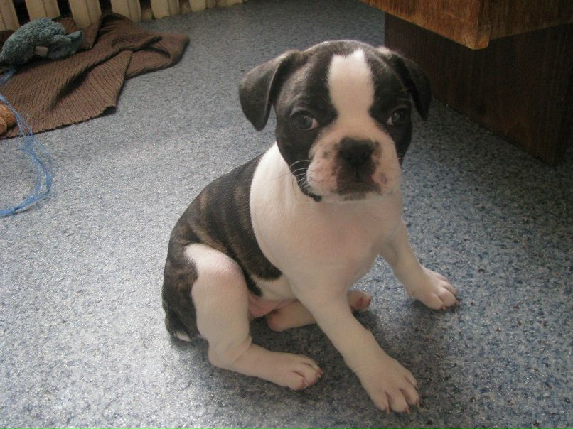 Генна Цвалли | Санкт-Петербург