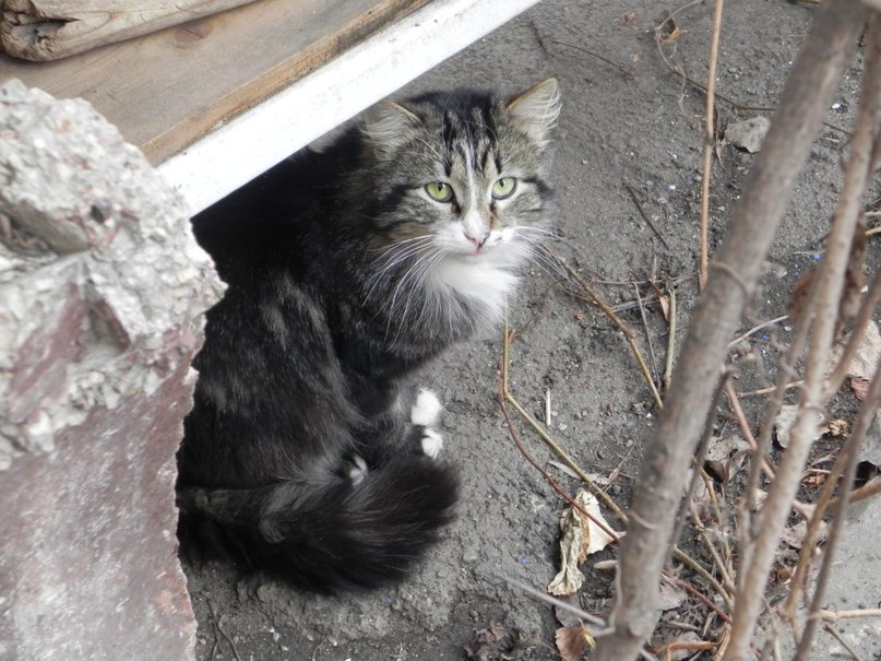 Татьяна Дёмина | Кривой Рог