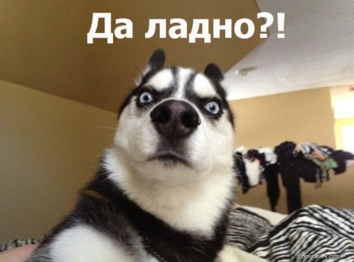 Дмитрий Поздеев | Можга