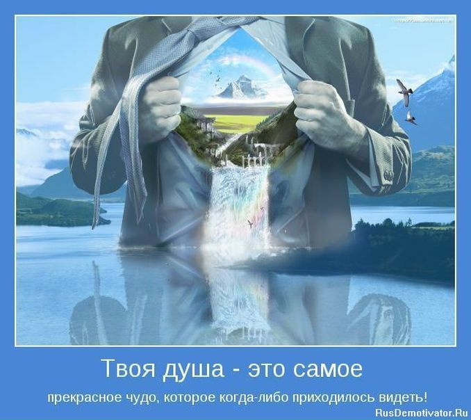 №117, Пираяр Бурый №117, Пираяр Бурый