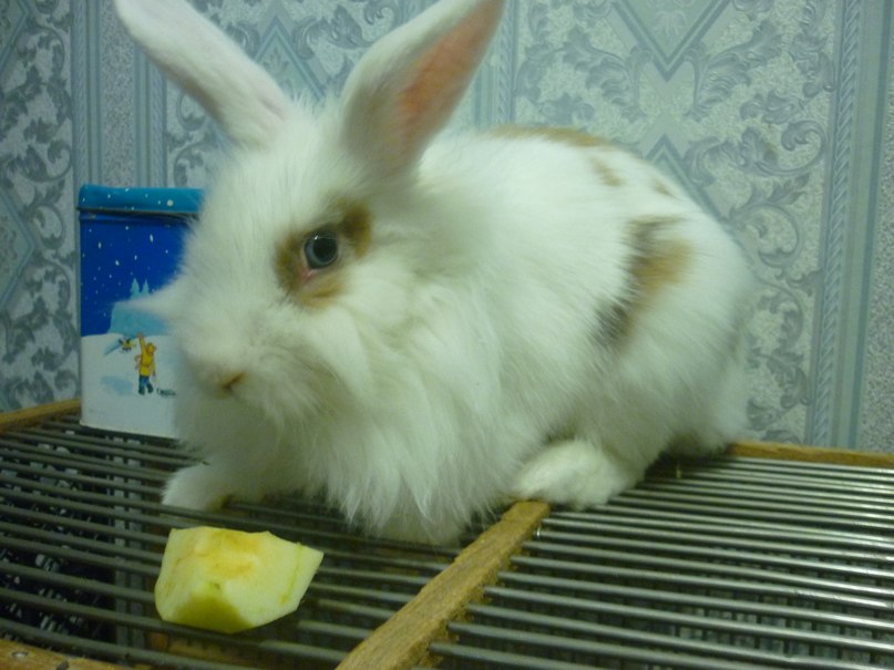 Машуля Баурина Щастье | Каменск-Уральский