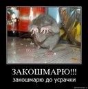 Фотография Широбокова Димы