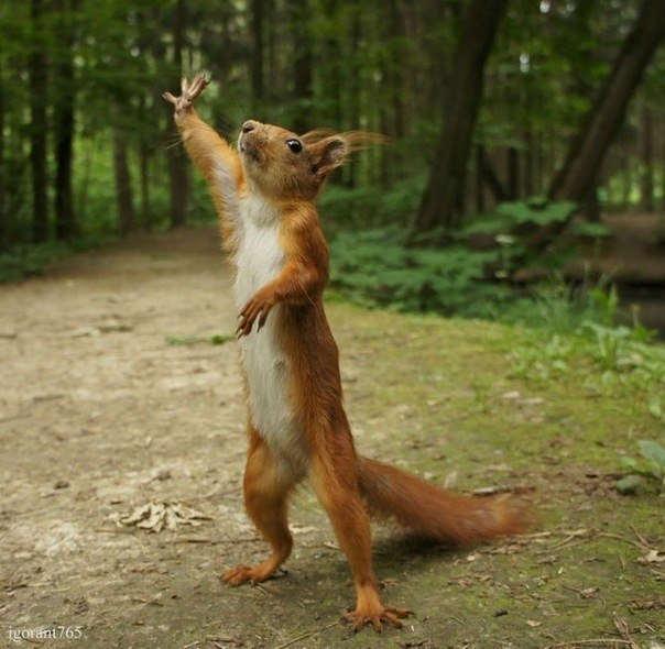 Анастасия Зима ● Felicità ● | Москва