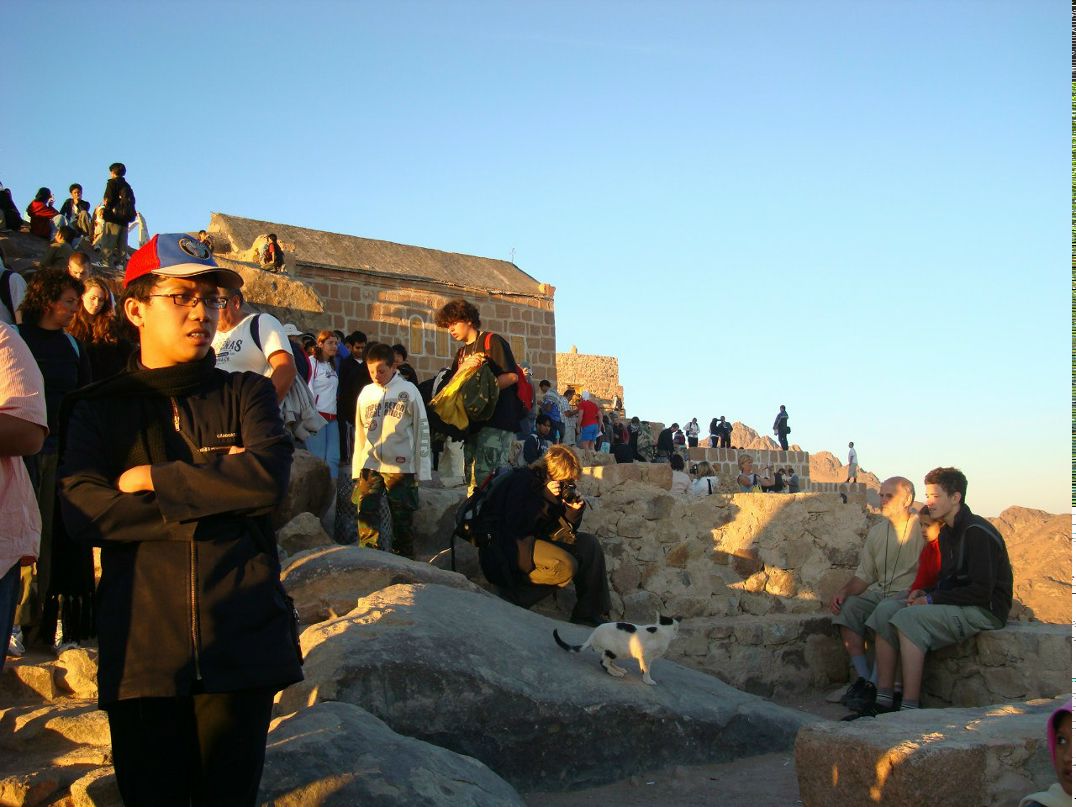 Анастасия Милюкова ★ aka лиса ★ | Москва