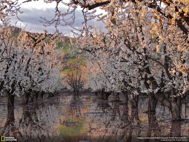 Светлана Солодухина | Саранск