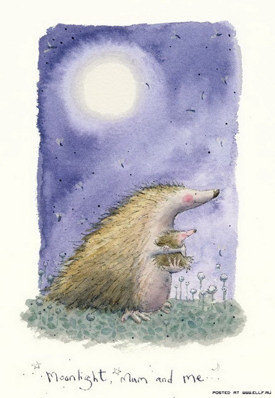 Людмила Кучинская | Винница