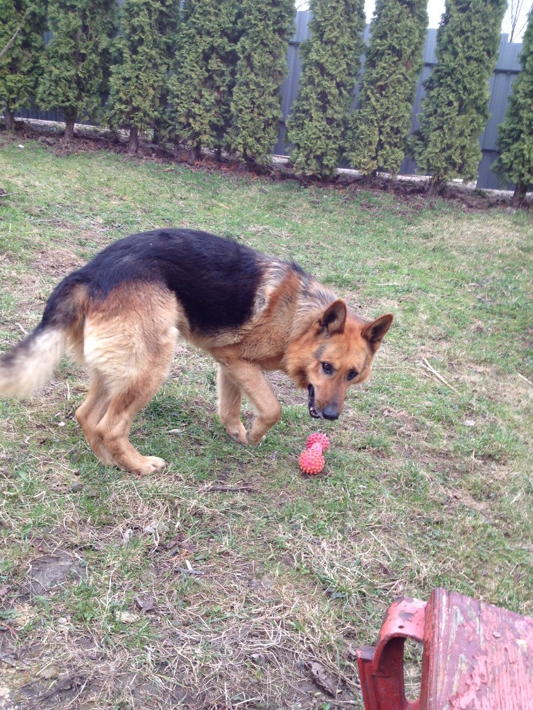 Стас Лопатинский | Иерусалим