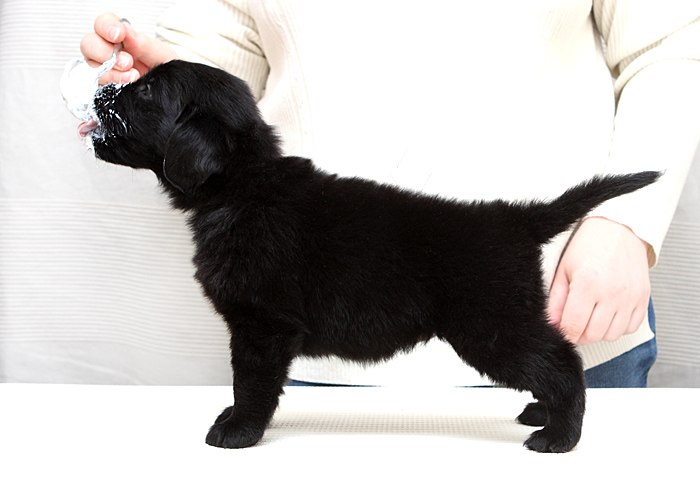 Анна Лебедева | Москва