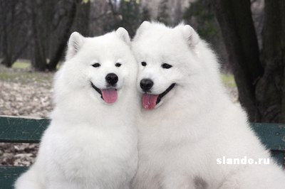 Natalya Perelmuter | Санкт-Петербург