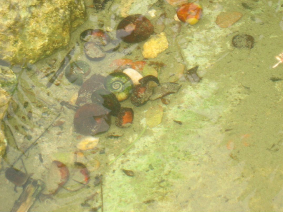 Виктория Угрюмова | Москва