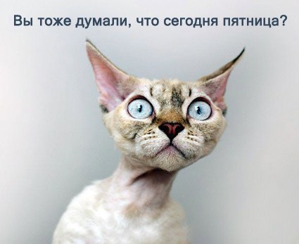 Наталья Найденова | Зеленоград