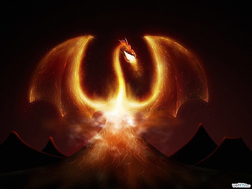 Антон Петрашов | Новосибирск