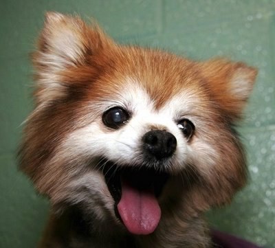 Олег Васильев | Санкт-Петербург