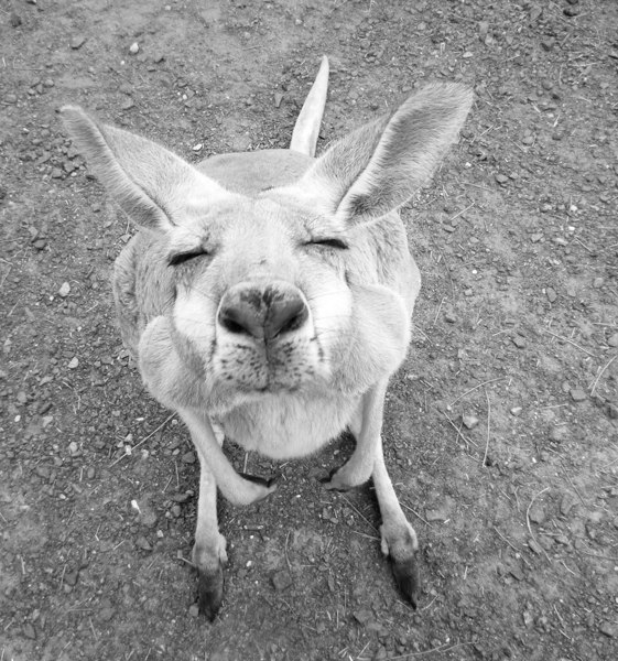 Елена Суханова | Истра