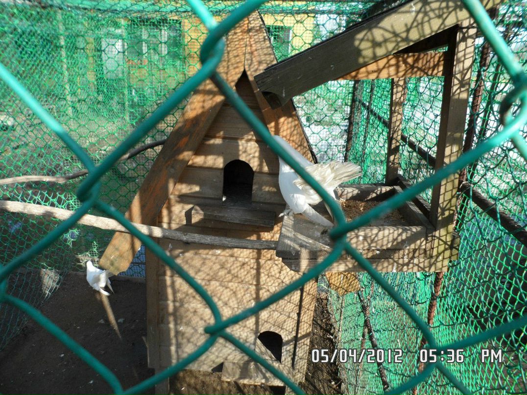 Алекс Бондарь | Санкт-Петербург