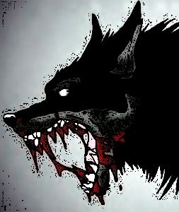 Анна Петифорова | Мурманск